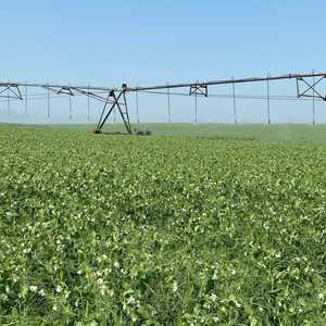 Agricultural Innovation Project – Saskatchewan, Canada