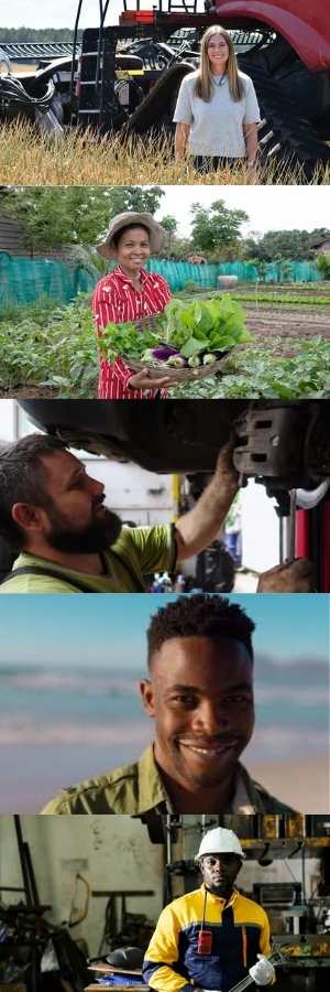 Warren Buffett foundation