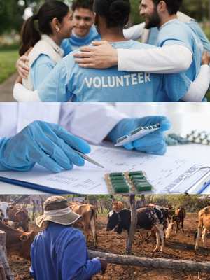 Warren Buffett foundation