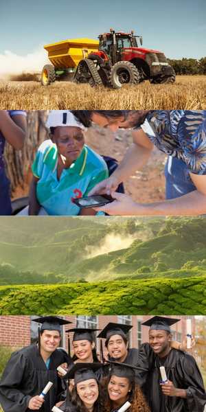 Warren Buffett foundation