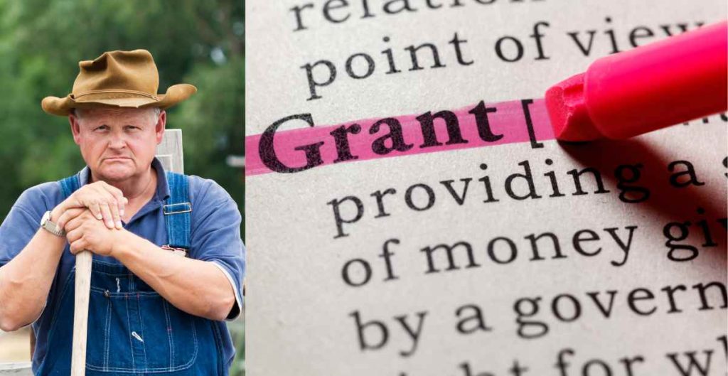 Grants in USA for Individuals